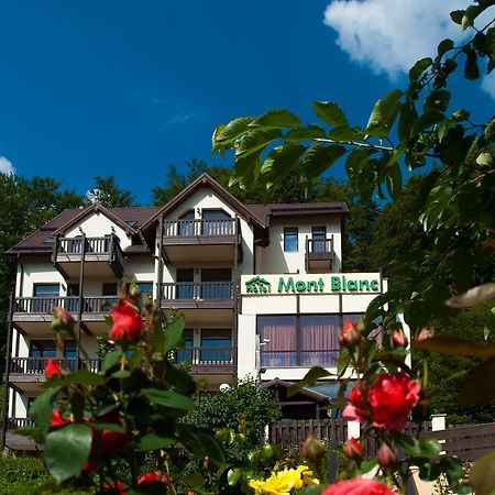 Mont Blanc Hotel Predeal Exterior photo