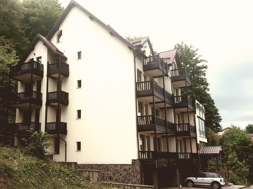 Mont Blanc Hotel Predeal Exterior photo